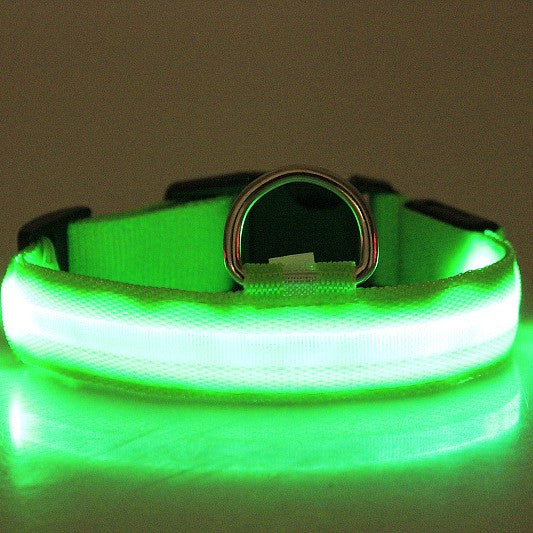 LED Light-Up Dog Collar – Glowing Night Safety Collar, Battery or Rechargeable