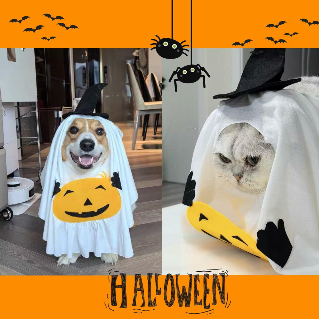 Pumpkin Ghost Halloween Costume for Dogs & Cats, Size Medium