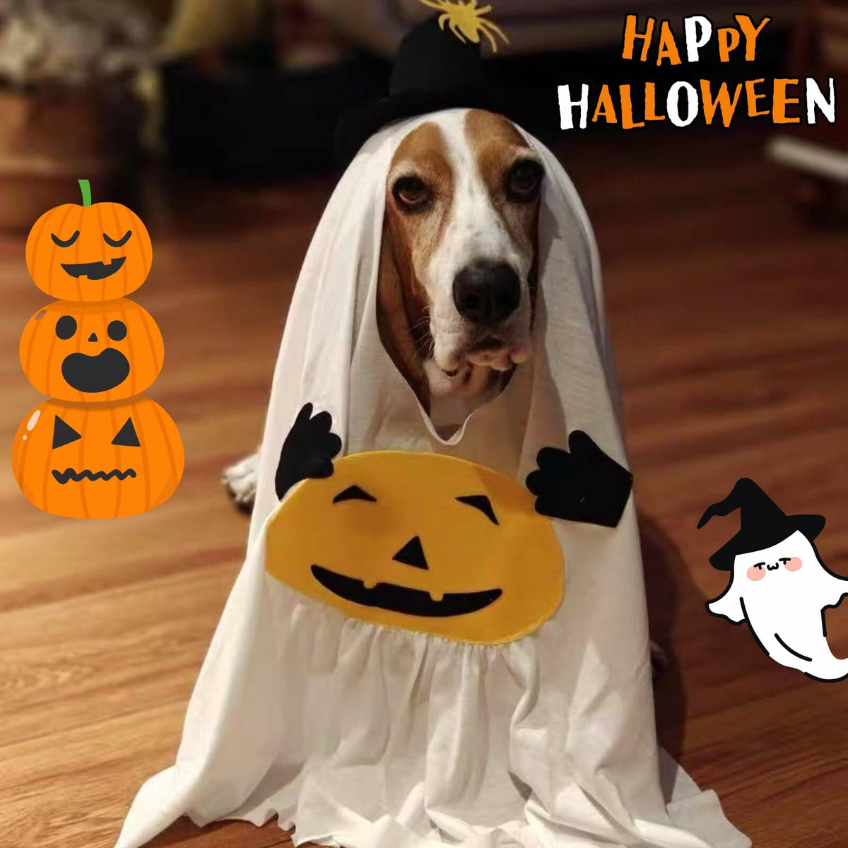 Pumpkin Ghost Halloween Costume for Dogs & Cats, Size Medium
