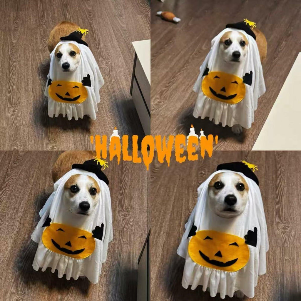 Pumpkin Ghost Halloween Costume for Dogs & Cats, Size Medium