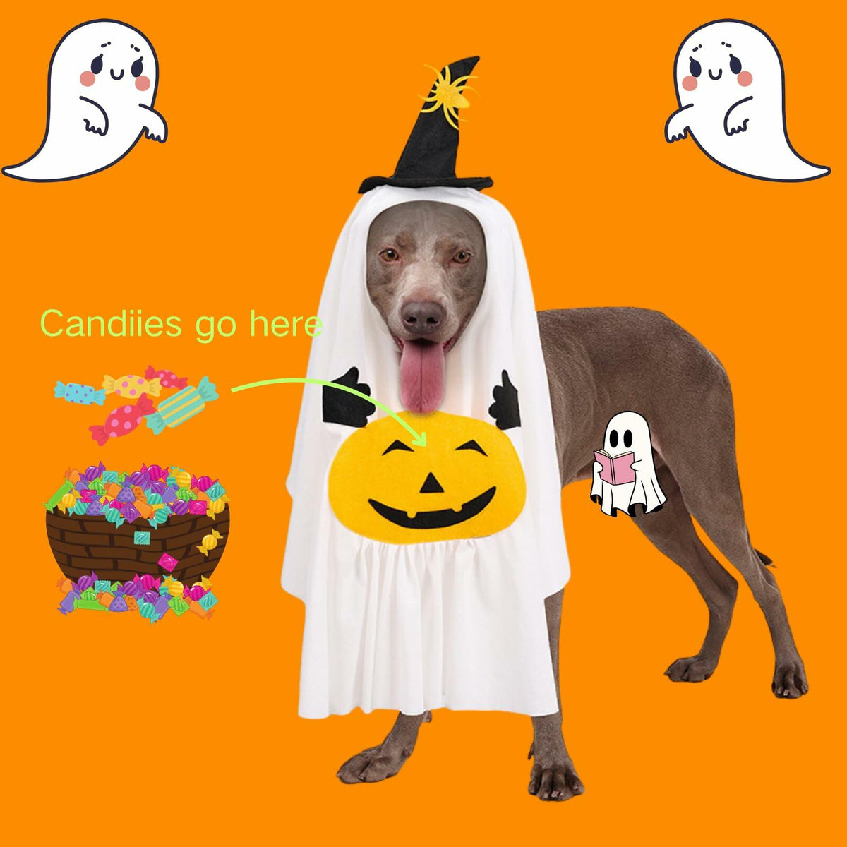 Pumpkin Ghost Halloween Costume for Dogs & Cats, Size Medium